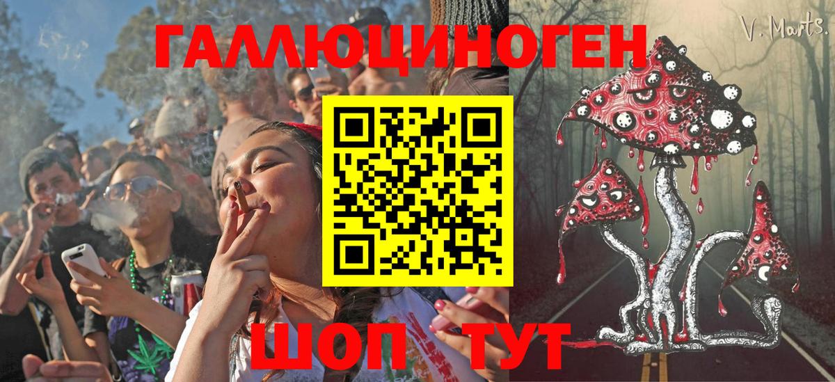 Галлюциногенные грибы Psilocybe  Вход с VPN  Чебаркуль 